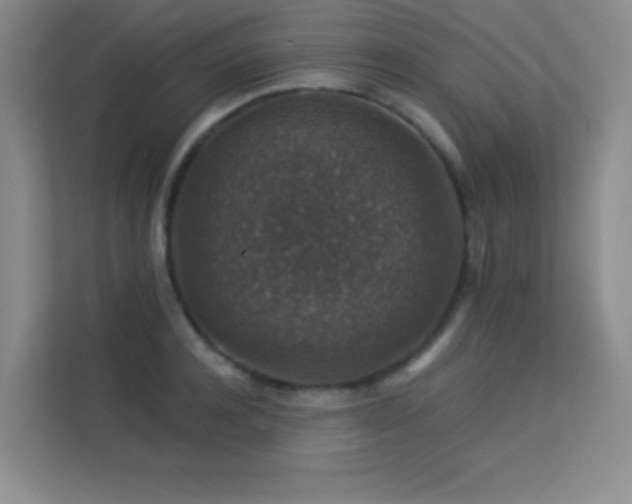 X0000113570944200909251131