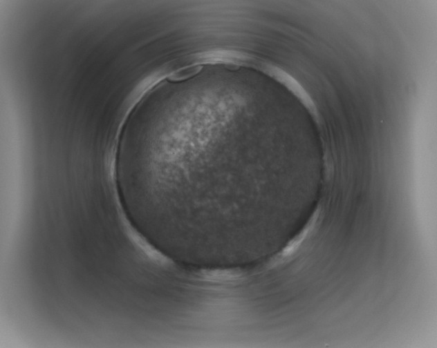 X0000113570946200909251131