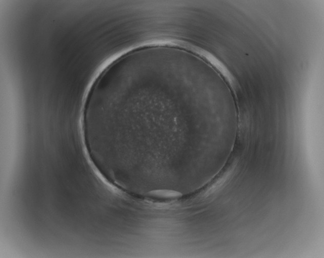 X0000113570951200909251132