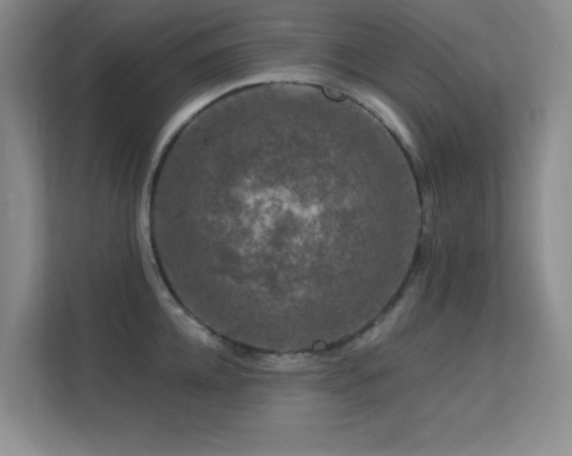 X0000113570952200909251132