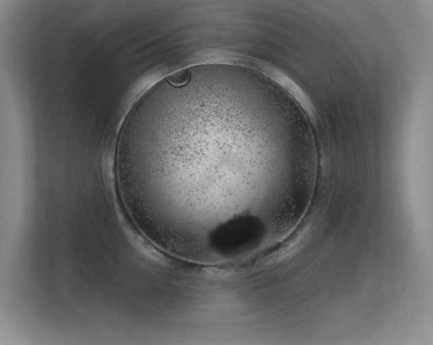 X0000113570954200909251132