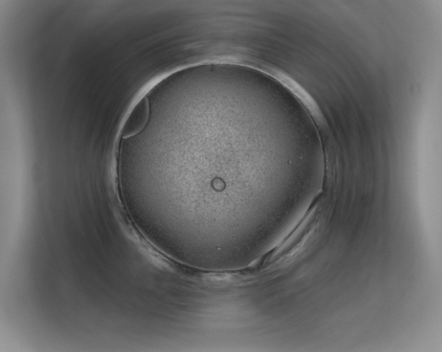X0000113570956200909251132