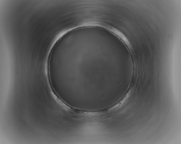 X0000113570958200909251132