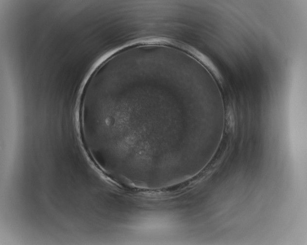 X0000113570959200909251132