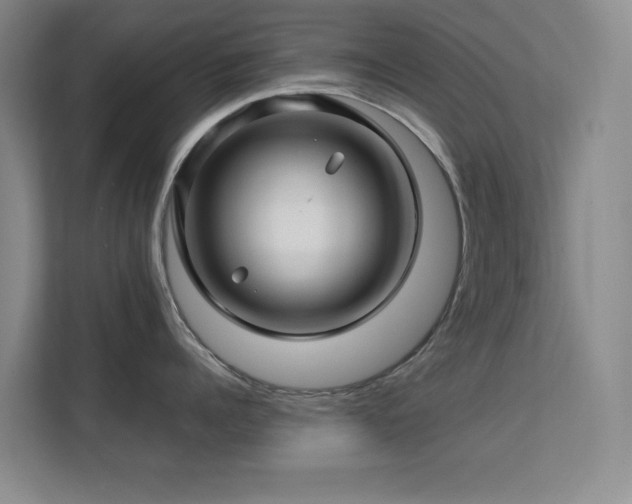 X0000113570960200909251132