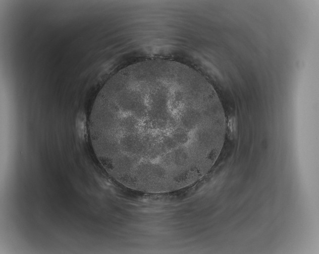 X0000113570963200909251131