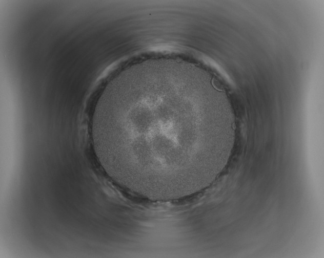 X0000113570968200909251131
