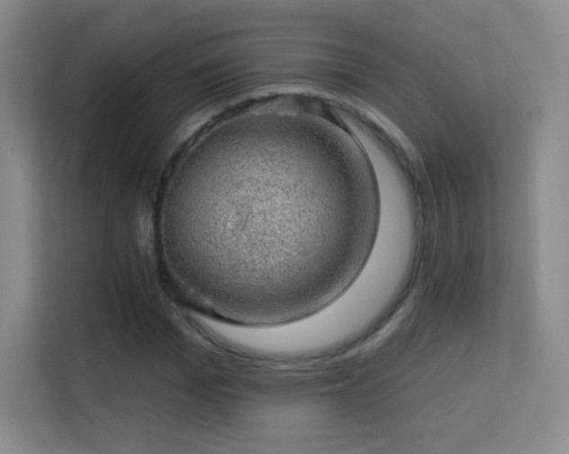 X0000113570969200909251131