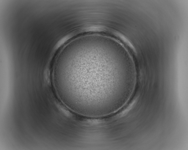 X0000113570970200909251131