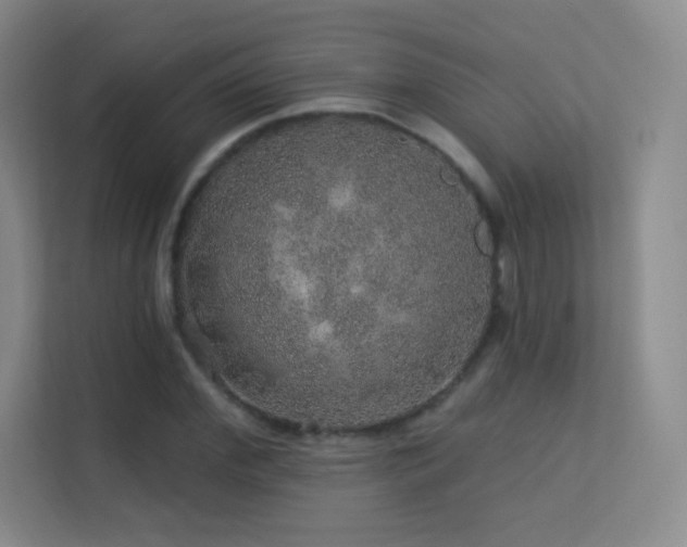 X0000113570972200909251131
