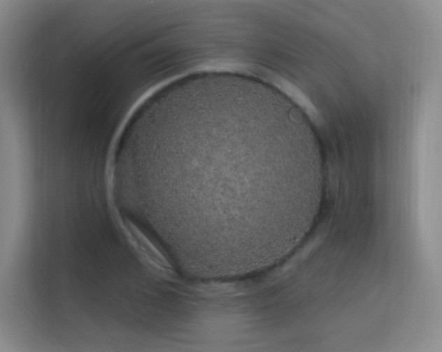 X0000113570976200909251131