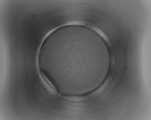 X0000113570980200909251131