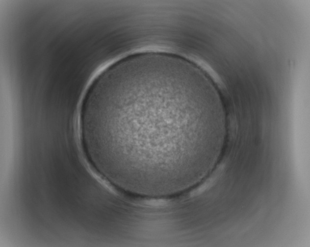 X0000113570982200909251131