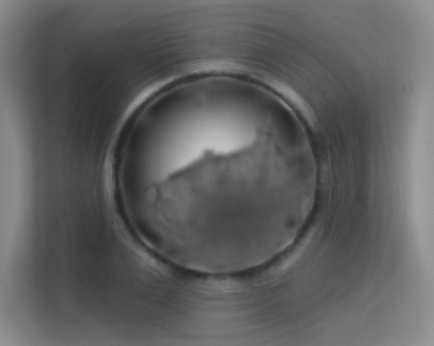 X0000113570983200909251131