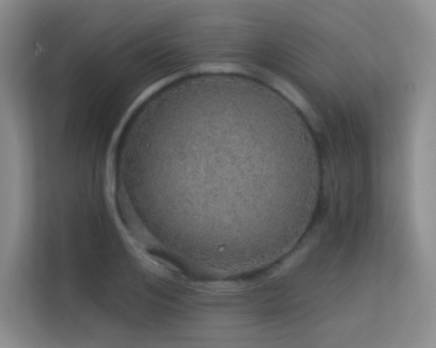 X0000113570984200909251131