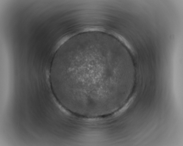 X0000113570985200909251131