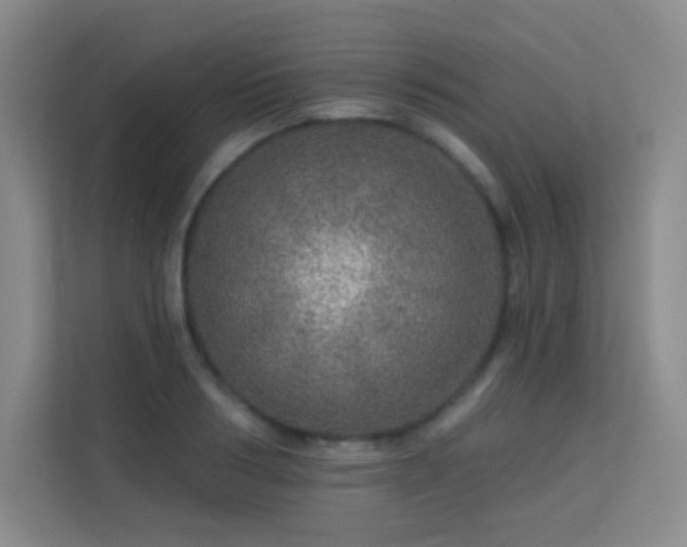 X0000113570986200909251131