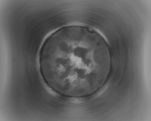 X0000113570987200909251131