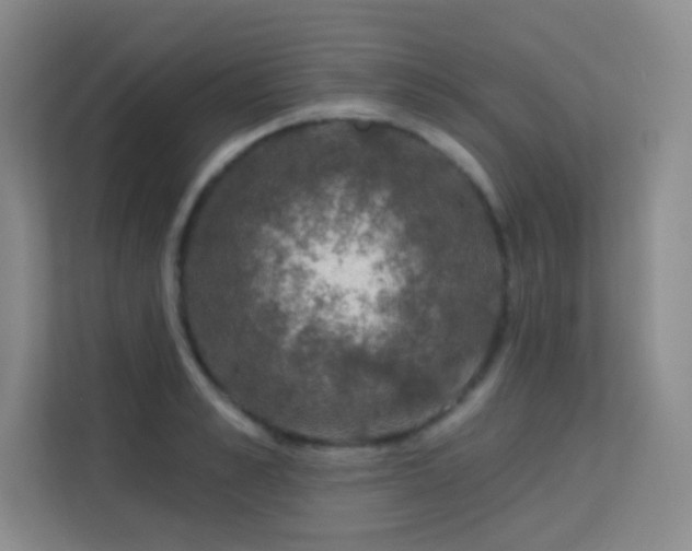 X0000113570989200909251131