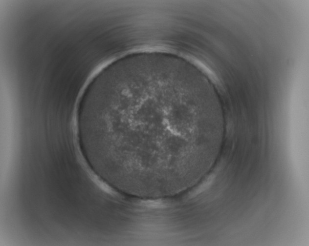 X0000113570990200909251131