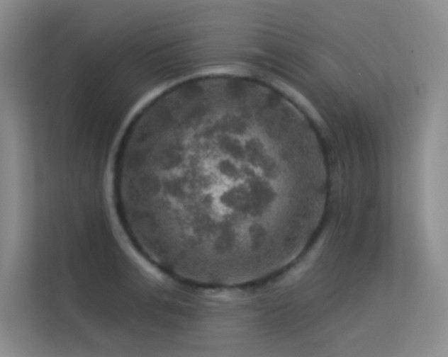 X0000113570991200909251131