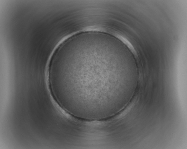 X0000113570992200909251131
