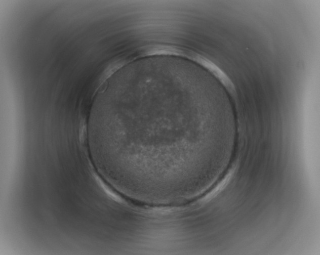 X0000113570993200909251131