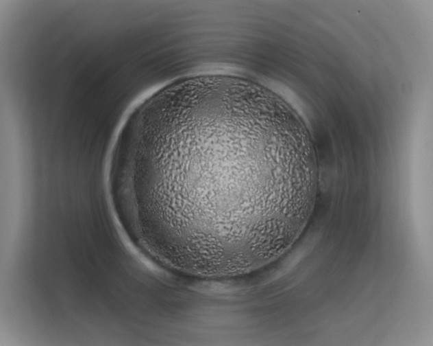 X0000113570995200909251131