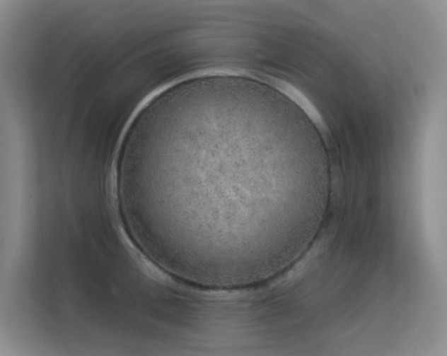 X0000113570996200909251131