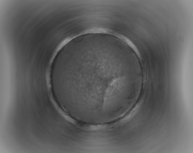 X0000113570997200909251131