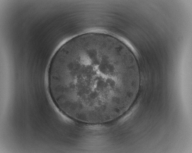 X0000113570999200909251131