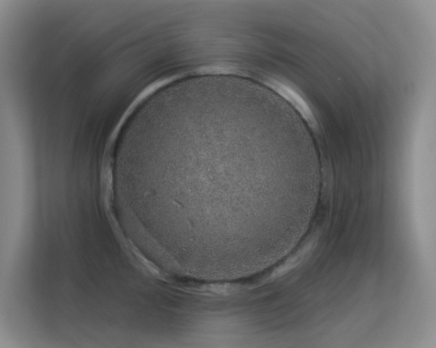X0000113571000200909251131
