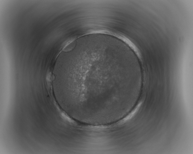 X0000113571001200909251131