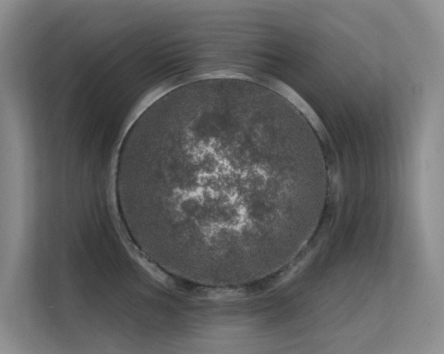 X0000113571002200909251131