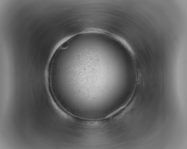 X0000113571003200909251131