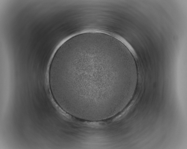 X0000113571004200909251130
