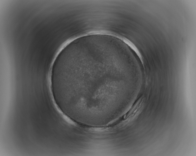 X0000113571005200909251130