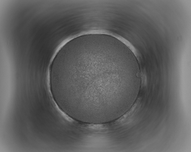 X0000113571006200909251130