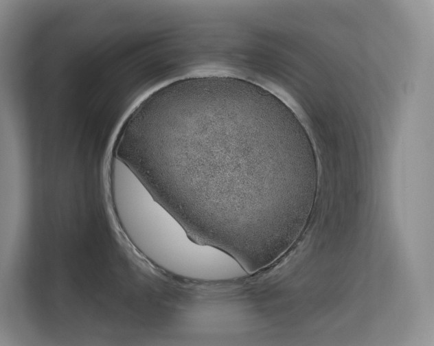 X0000113571008200909251130