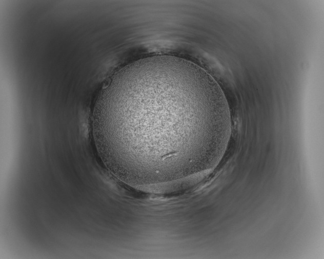 X0000113571012200909251130