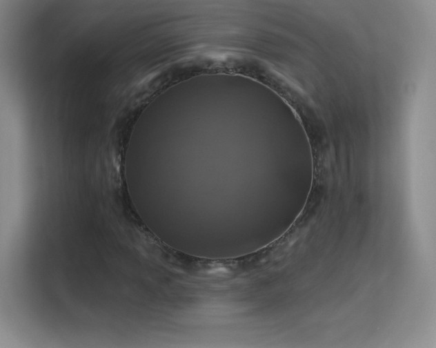 X0000113571013200909251130