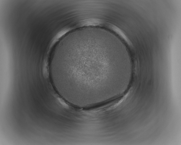 X0000113571018200909251130