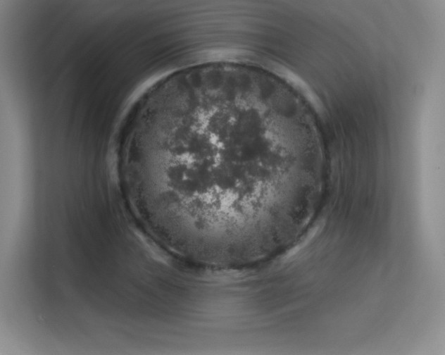 X0000113571019200909251130