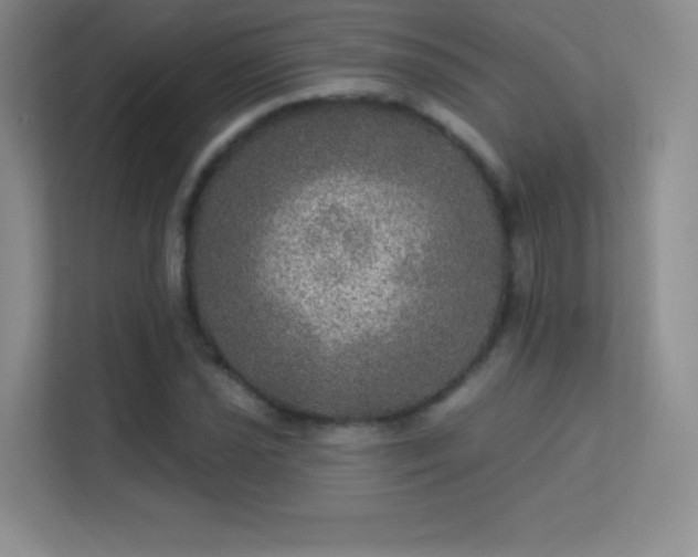 X0000113571021200909251130