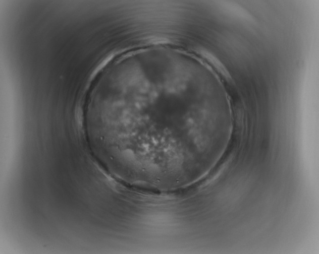 X0000113571023200909251130