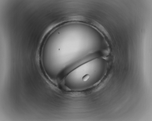 X0000113571024200909251130