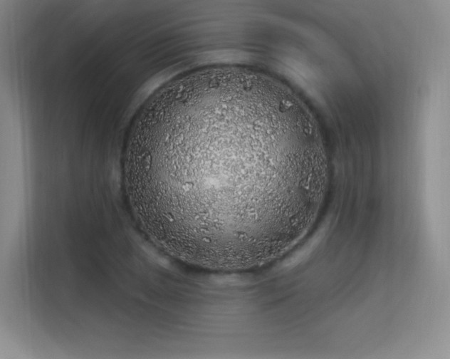 X0000113571025200909251130