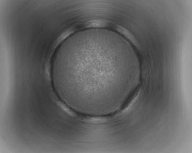 X0000113571026200909251130
