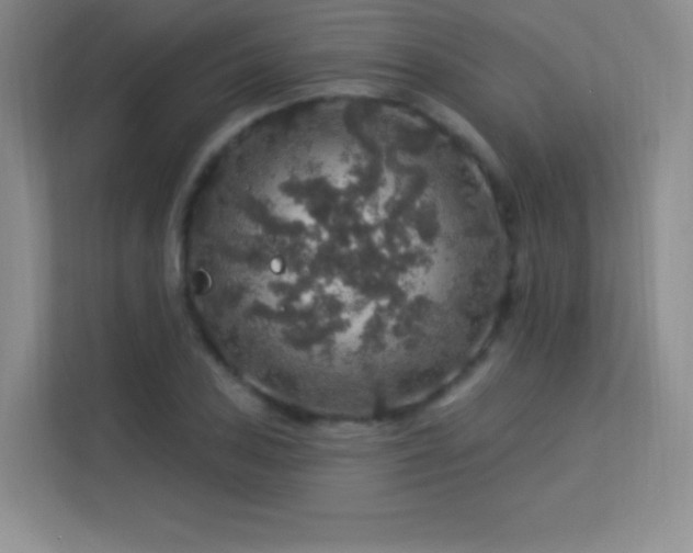 X0000113571027200909251130