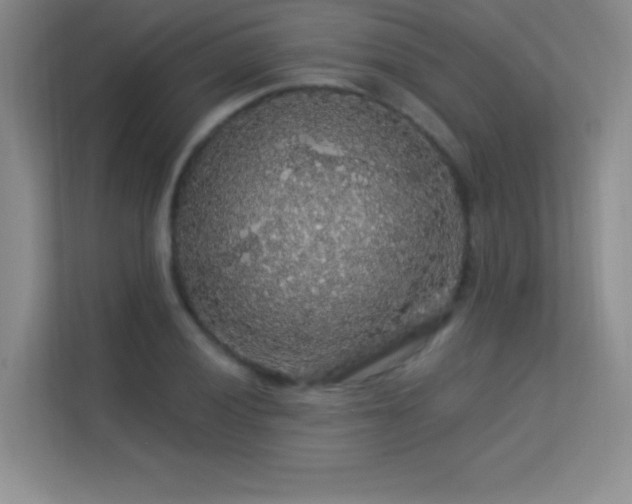 X0000113571028200909251130